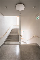 Town hall staircase with a light handrail