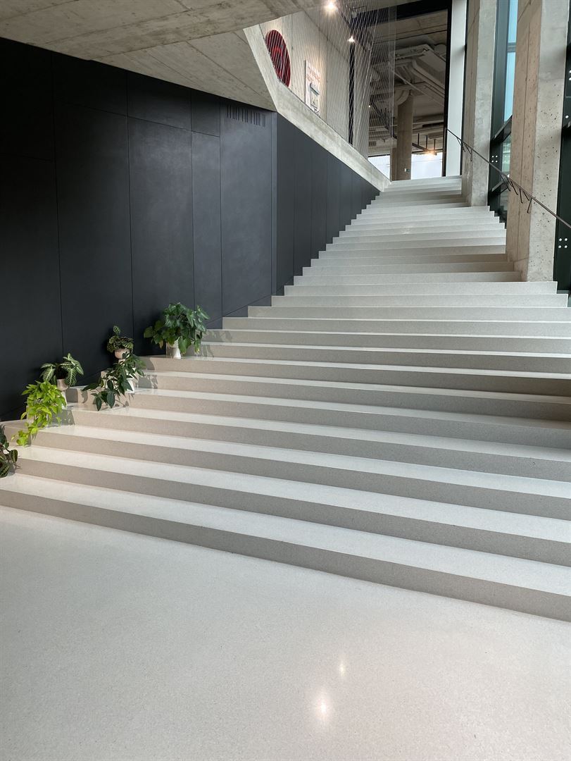 Breite Terrazzotreppe mit schwarzer Wandverkleidung und Topfpflanzen am Fuß