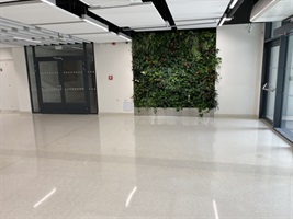 Halle mit vertikaler grüner Wand und glänzendem Terrazzoboden