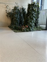 Pflanzenwand in der Lobby auf hellem Terrazzoboden