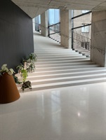 Treppe und Flur mit Pflanzen in Holport
