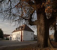 Gebäude des Cafés Noutonice unter einem alten Baum