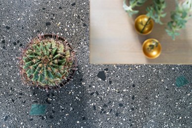 Kaktus a zlaté koule na tmavé lité terrazzo podlaze