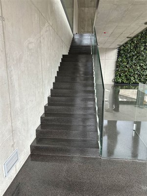 Tmavé leštěné teracové schodiště u betonové stěny se zelení